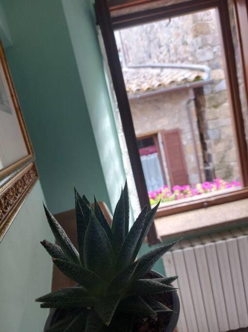 Casa Rosita Vista Lago Bolsena Eksteriør bilde