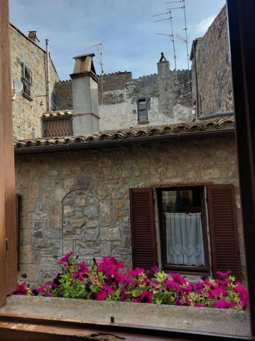 Casa Rosita Vista Lago Bolsena Eksteriør bilde